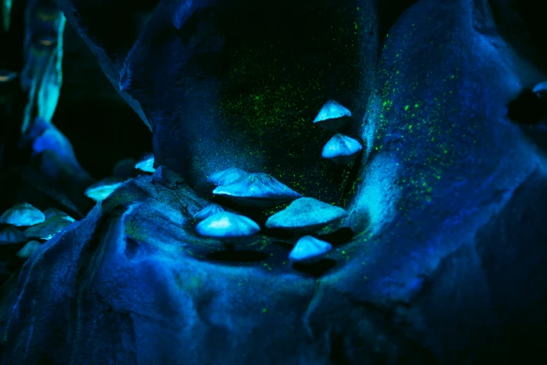 the rocks are covered in blue glow and glow like water drops