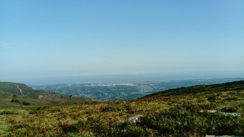 a hill with many bushes on it that overlooks the city below