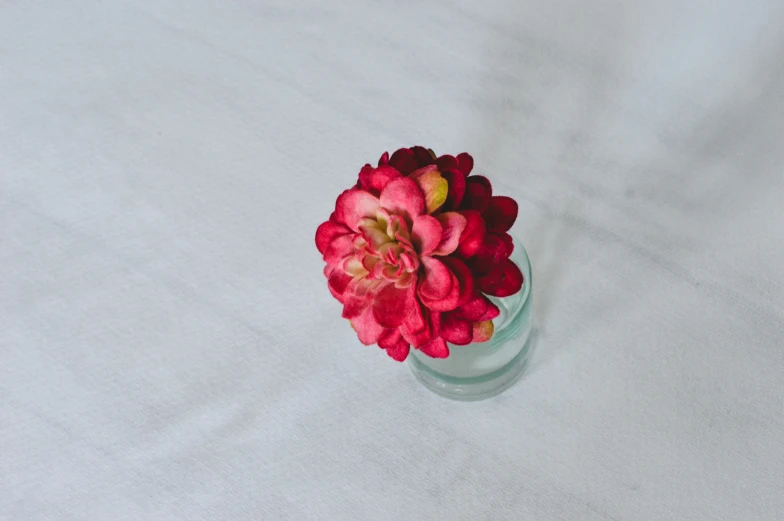 a flower is in a glass vase on the table