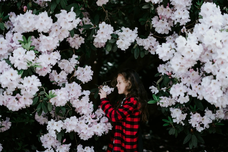  wearing red and black checksered shirt among white flowers