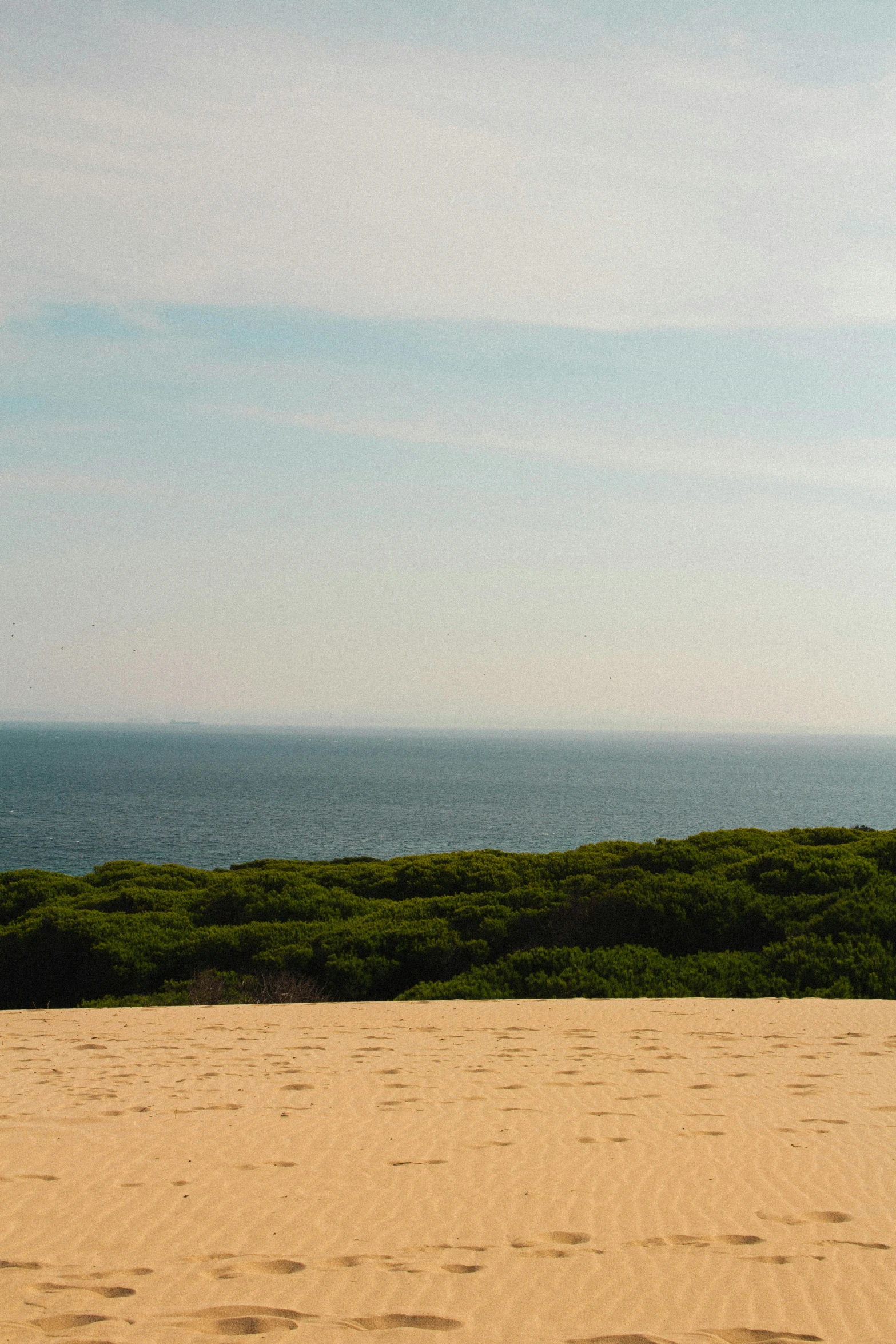 a person flies a kite on a beach