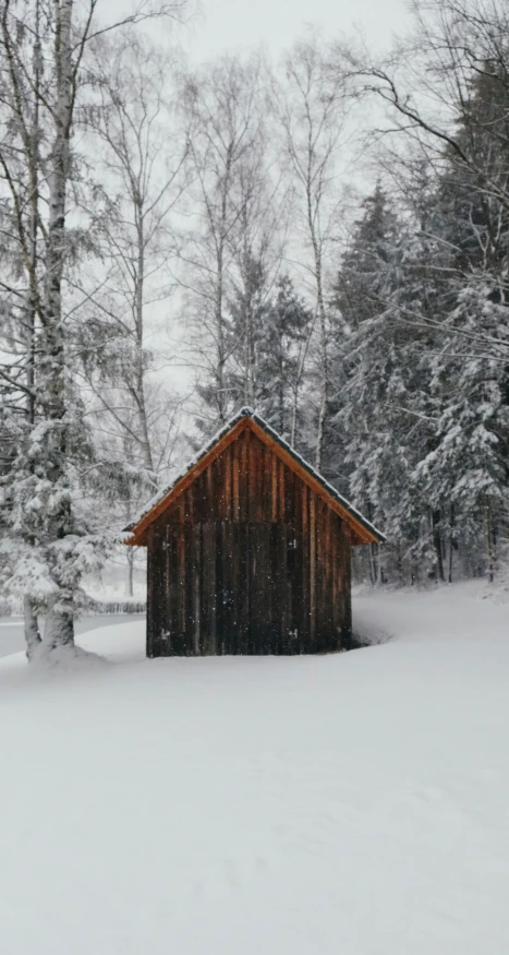 a small shed sits in the middle of a forest