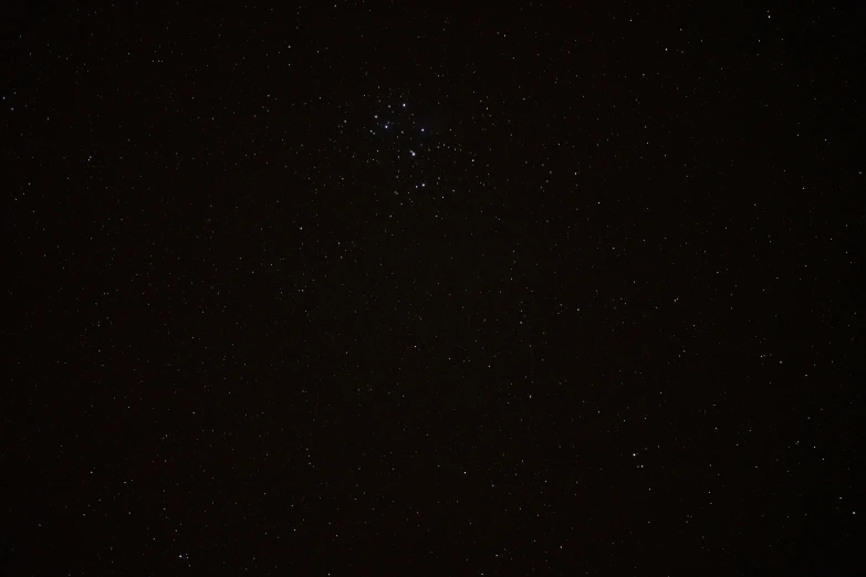 a black sky with stars and a small tree