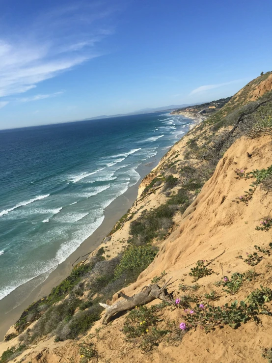 a beach with some plants and water next to it