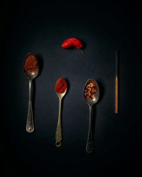 five spoons of spices and one pepper are displayed