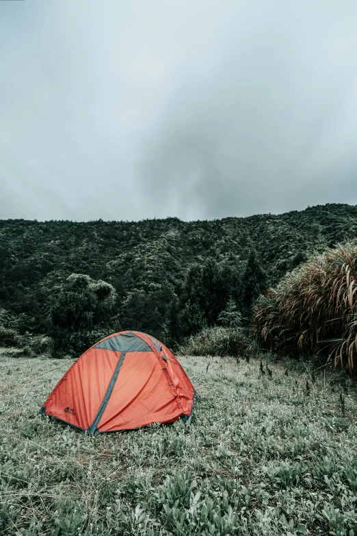 a red tent sitting on top of a lush green field