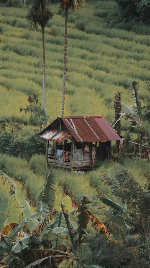 a house in a remote area with trees around it