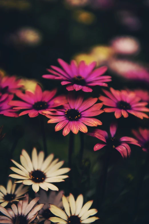 a number of flowers in a bouquet