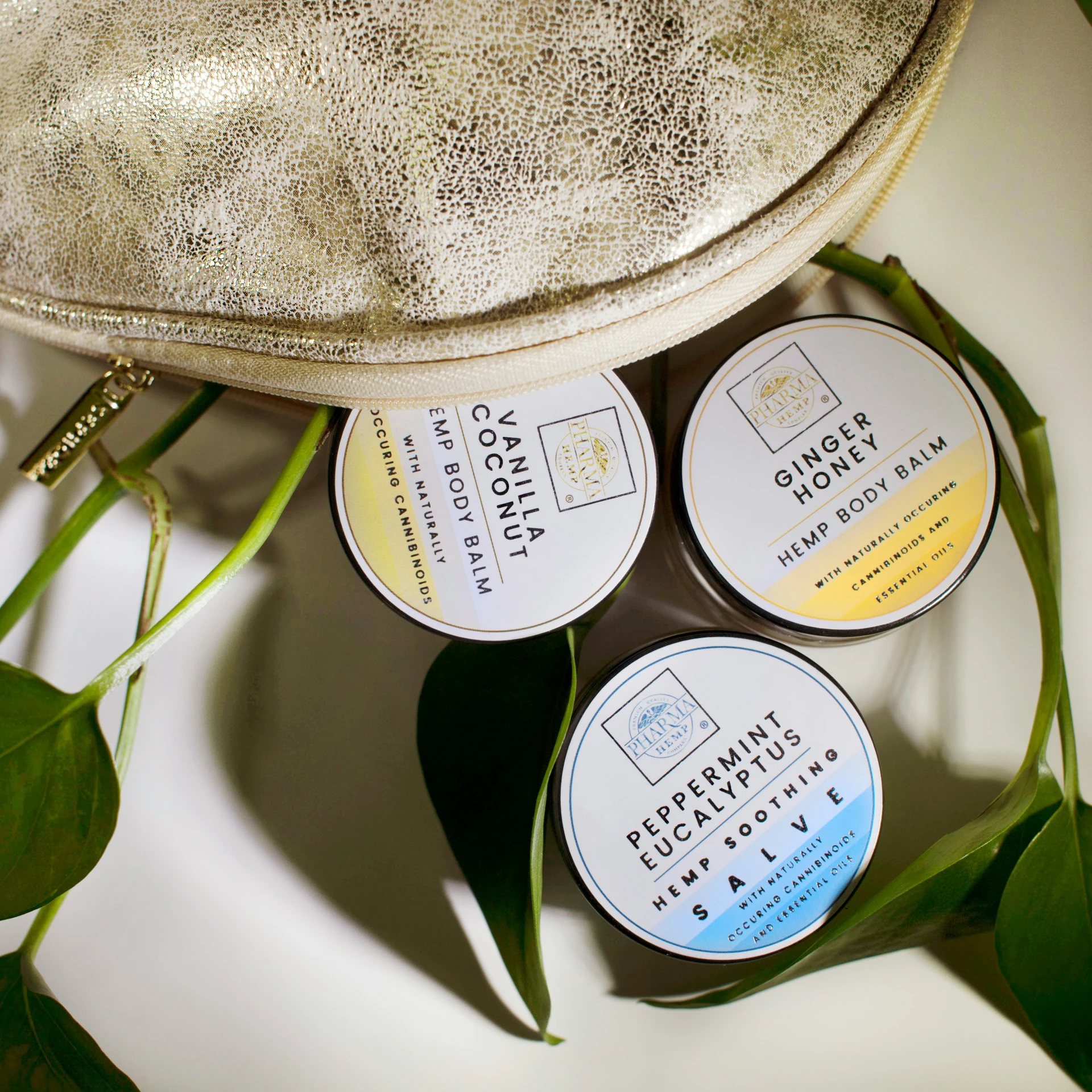 three travel size candles sitting next to a potted plant