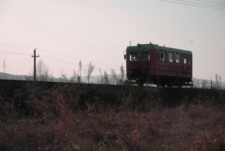 a train car traveling down a track next to tall grass