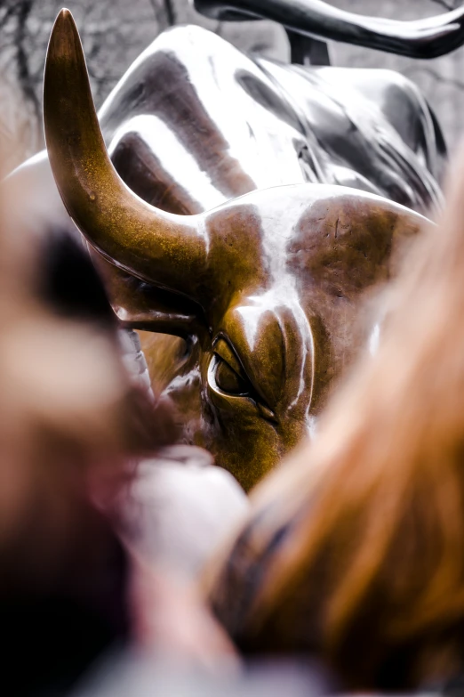 a close up s of a statue of a bulls head