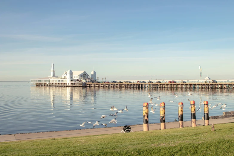 a large body of water with a bunch of birds near by