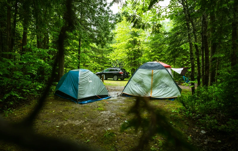 two tents and one truck are in the woods