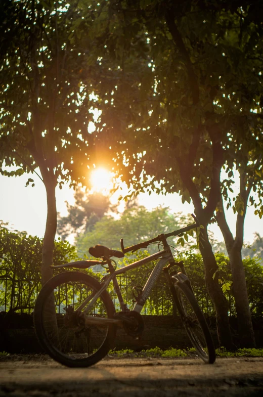 a bicycle that is leaning against a tree