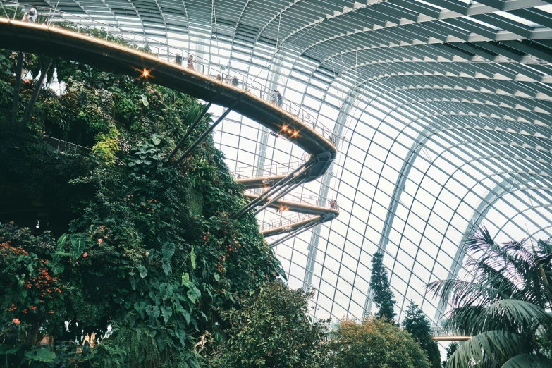 a large indoor walkway has trees growing on the side of it