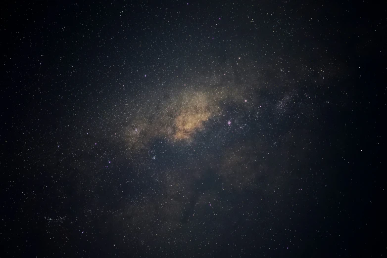 the starry sky above a tree and water