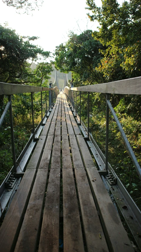 the wooden bridge has a metal hand rail over it