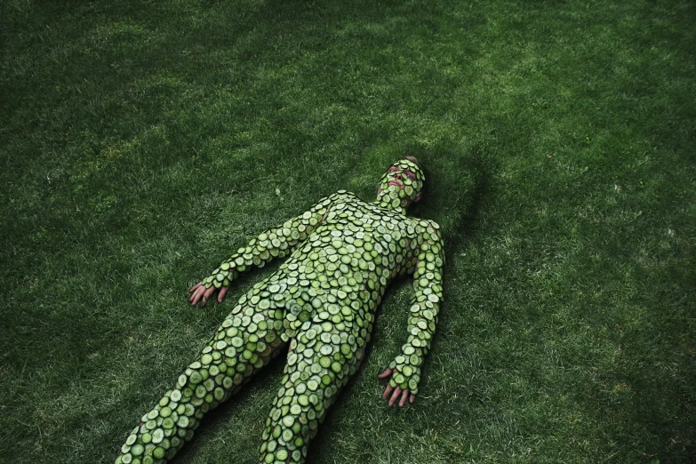 an image of a person that has fallen out in the grass