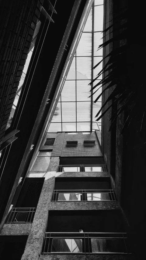 an upward view of two windows with metal bars and wire on the side