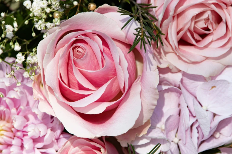 a close up of a bouquet of flowers