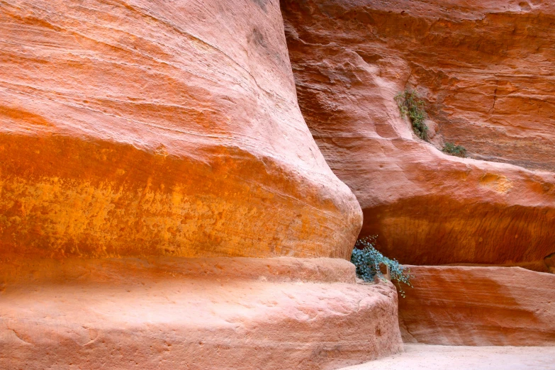 a rock formation with a lizard crawling in the middle