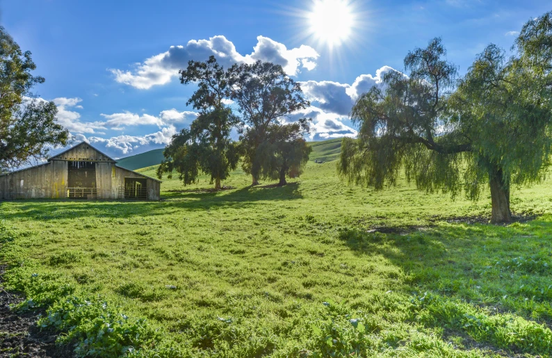 the sun is shining over an old barn in a grassy field