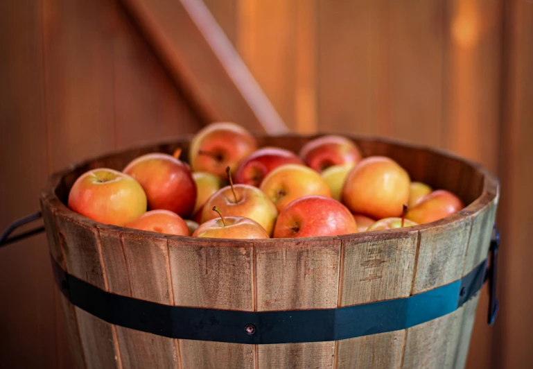 apples in a wooden bucket lined up in a basket