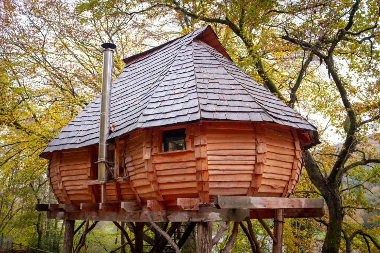 a building built to look like a tree house