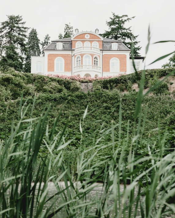 a white house surrounded by green plants