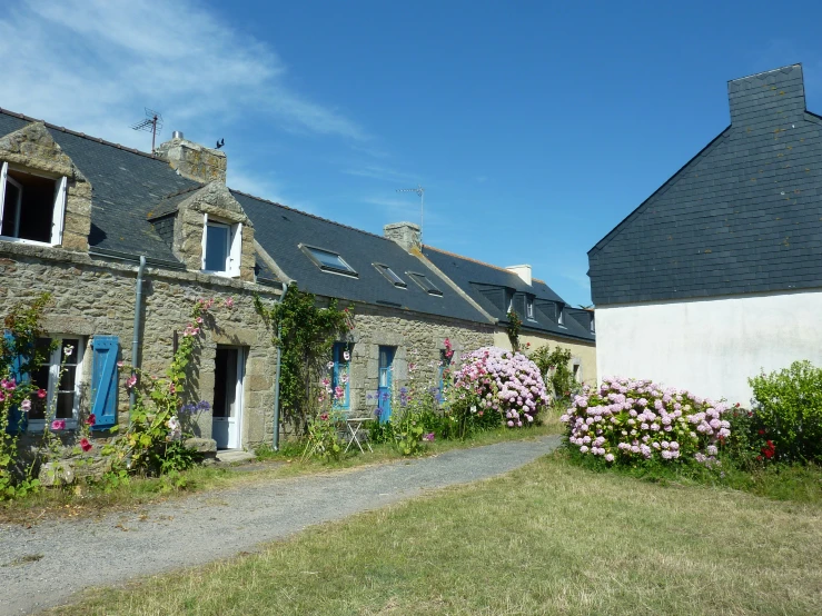 some flowers growing around two houses and a gravel road