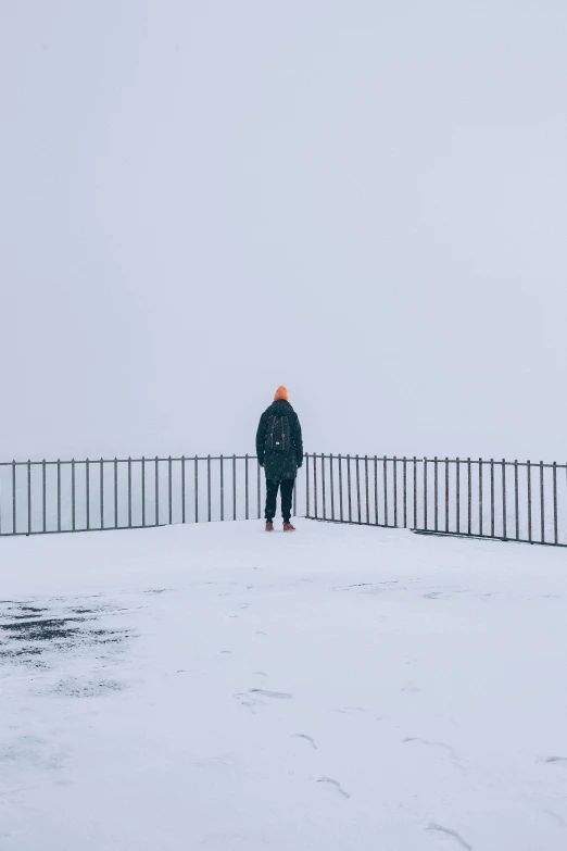 man standing in the snow looking over a fence