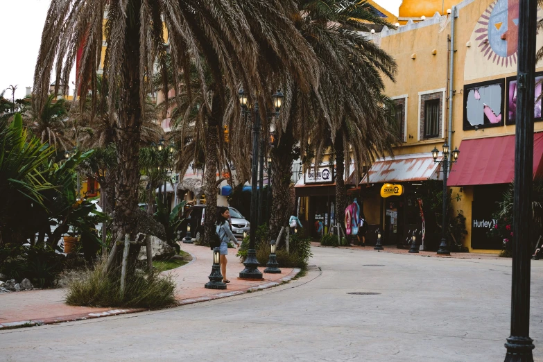 some palm trees on a street and people