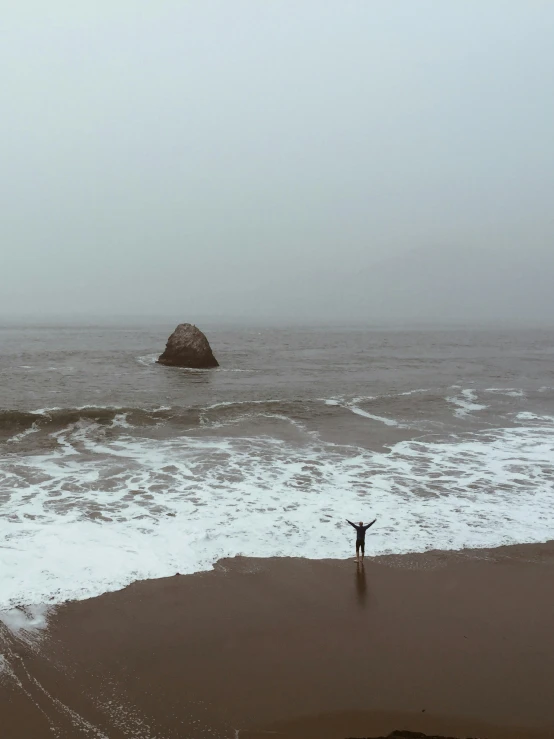 a person with a dog walking in front of the ocean