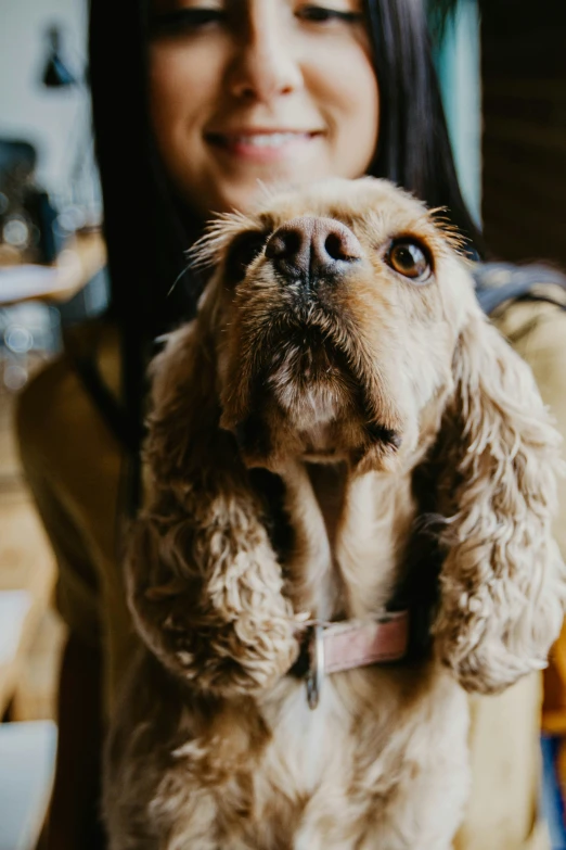 a woman smiles while holding a dog up