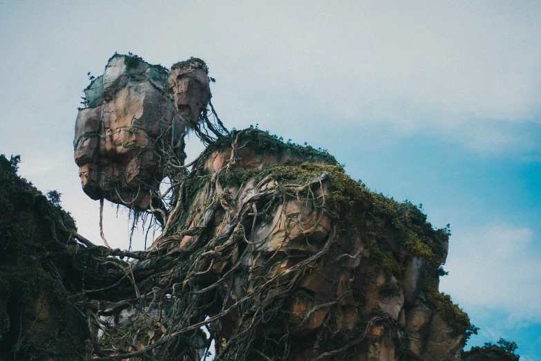 a stone structure has vines growing all over it