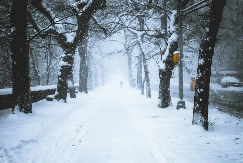 snowy pathway with snow on it in the woods