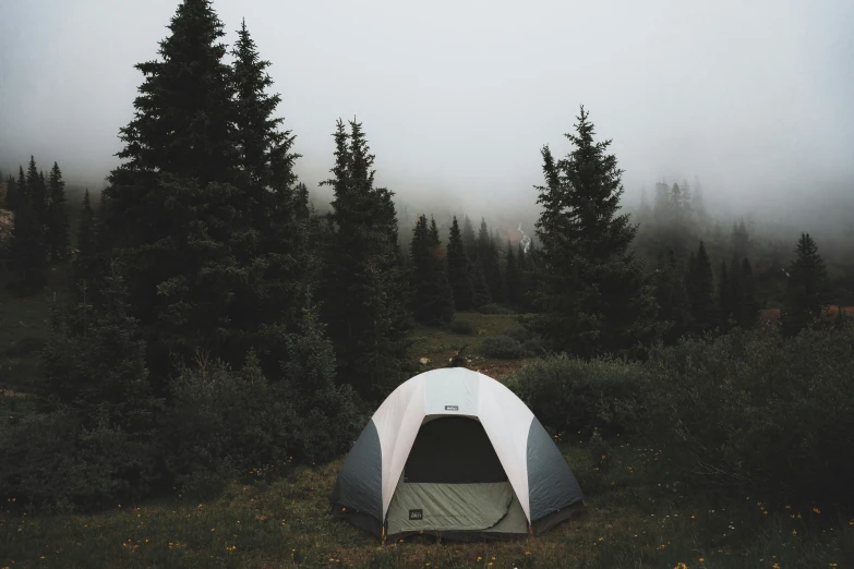 a tent in the middle of some woods