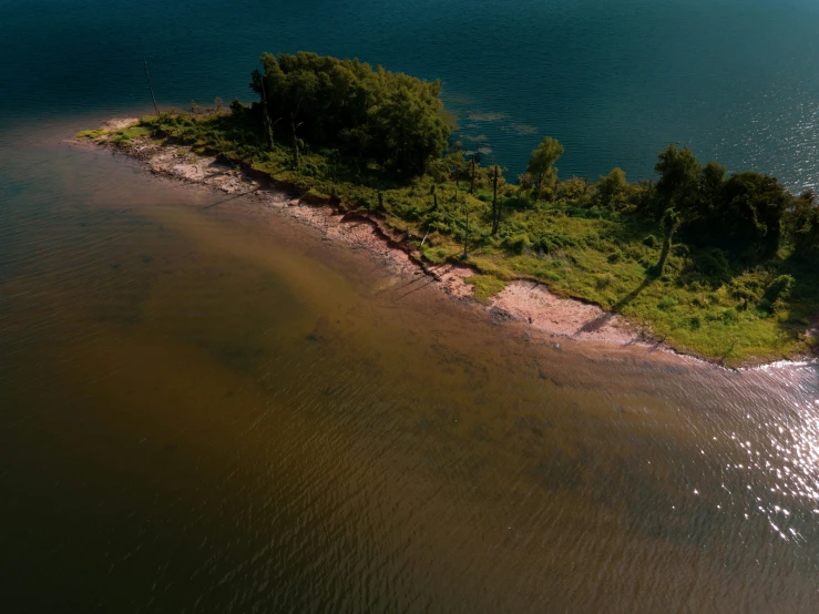 an island in the water with two trees