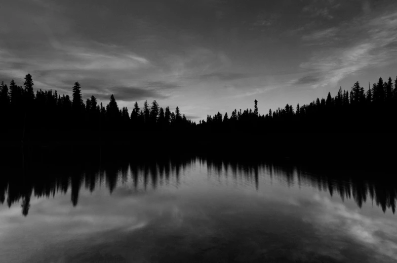 the dark trees are reflected in the still waters