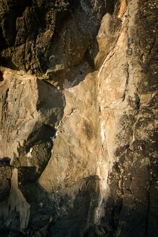 a bird sitting on top of a large rock