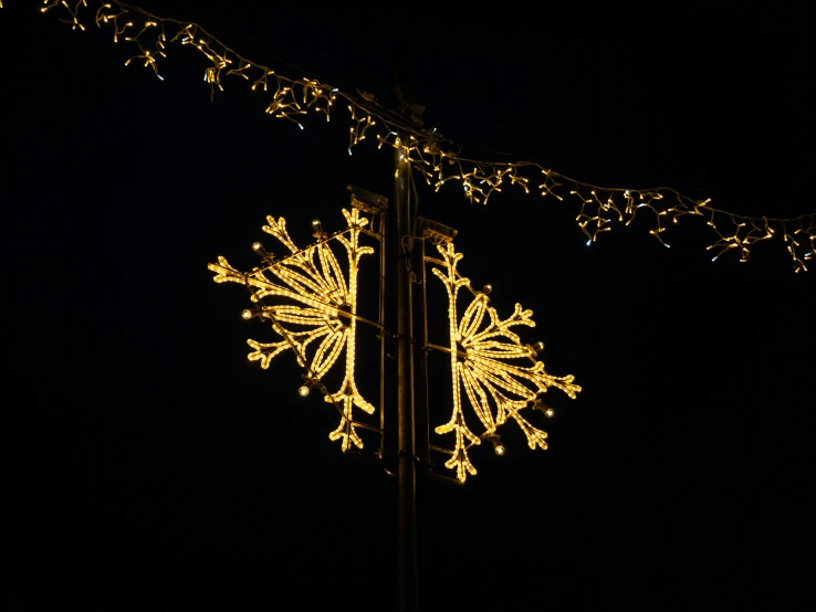 a pole with snowflake lights on it at night