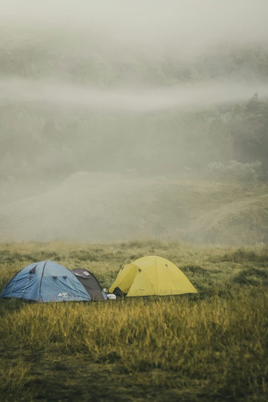 two yellow and blue tents on a grassy hillside
