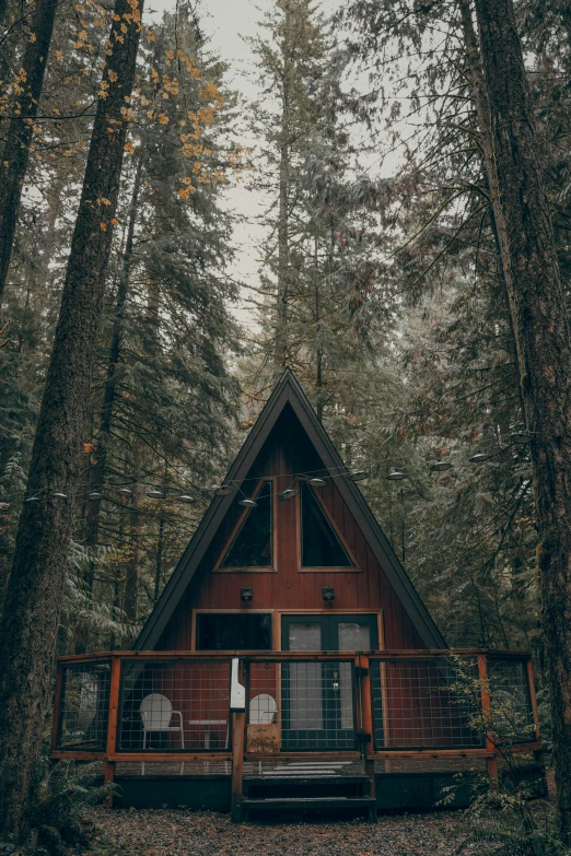 a cabin nestled in the woods surrounded by tall trees