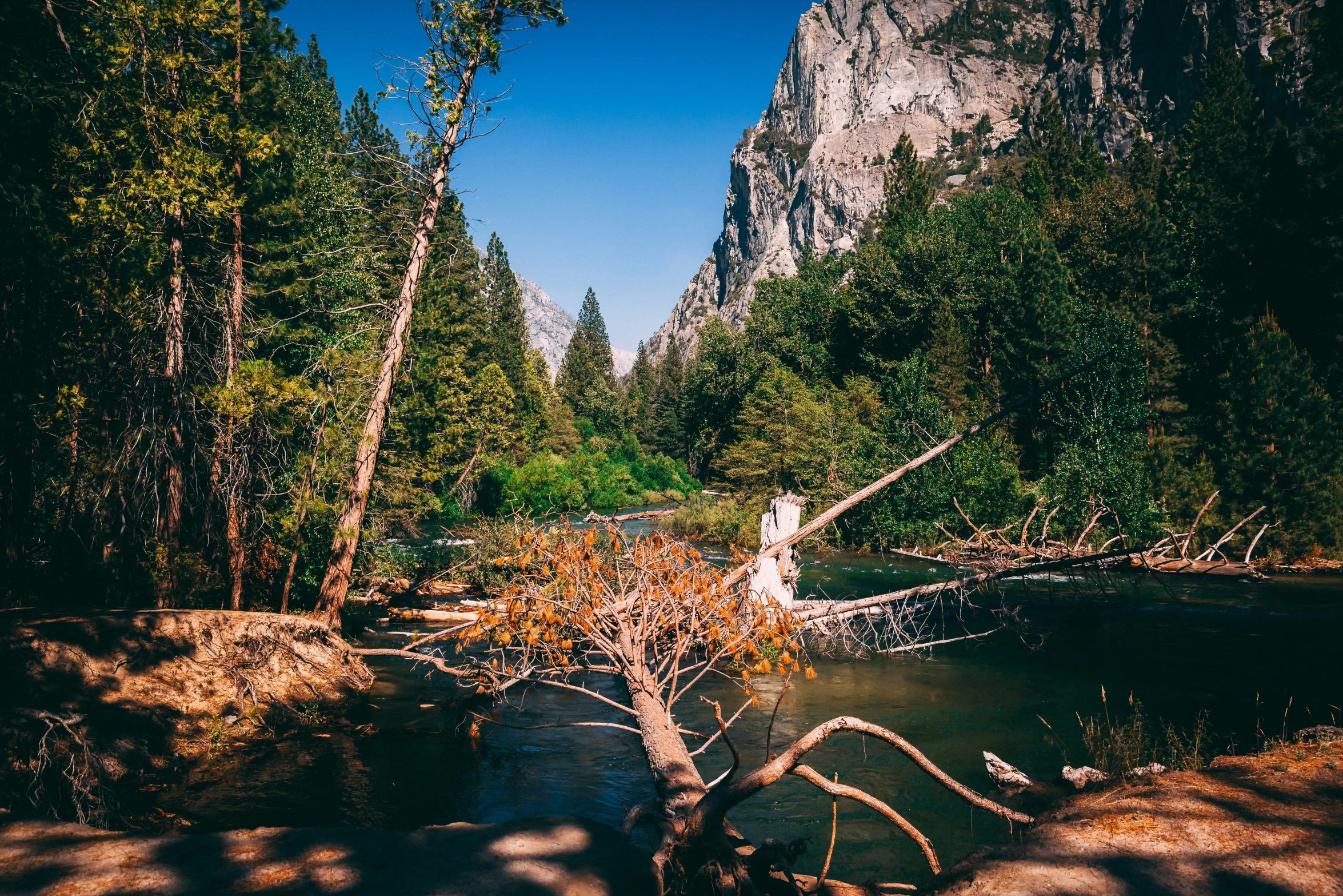 a river and a big rock in a beautiful valley