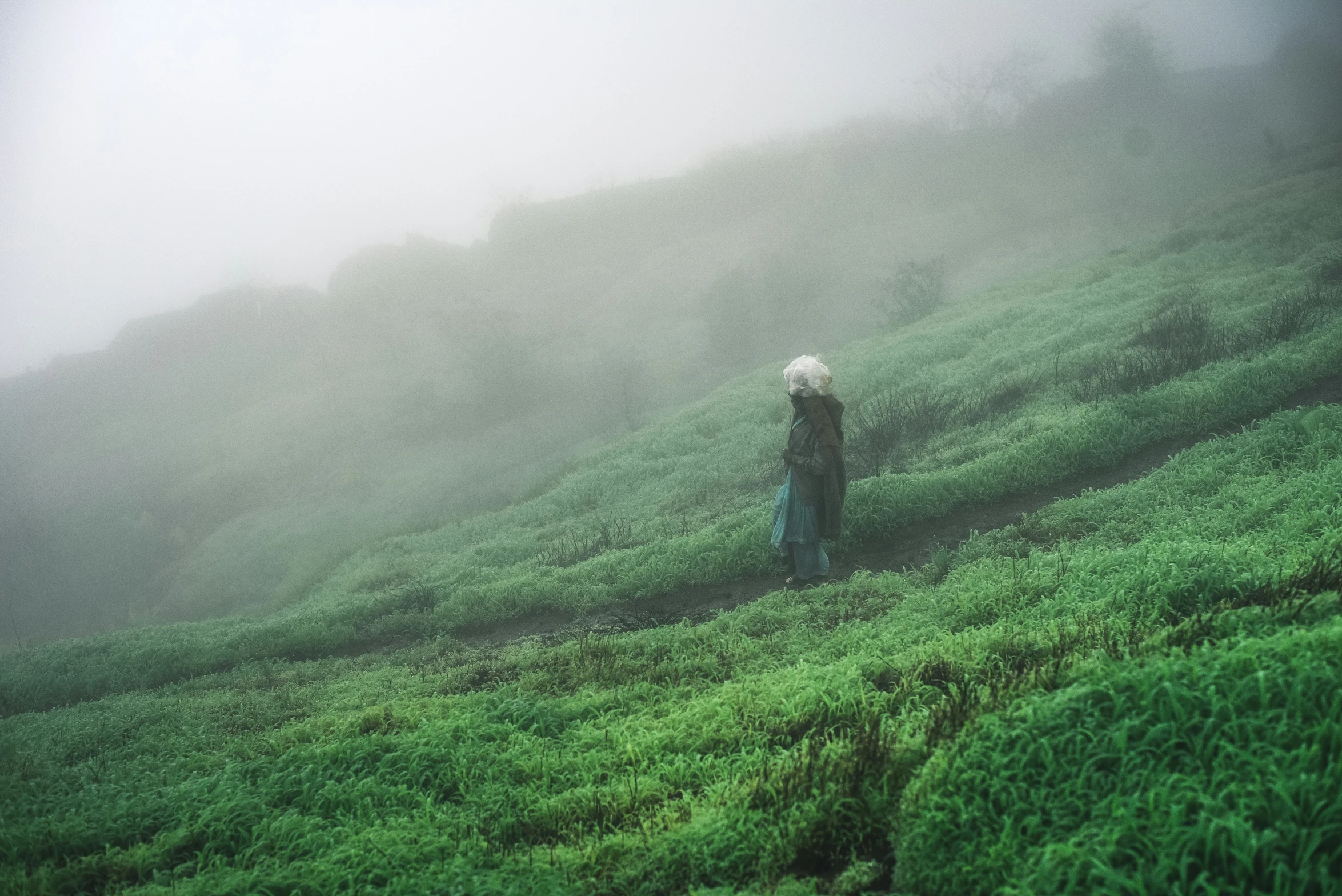 the man is walking through the foggy fields