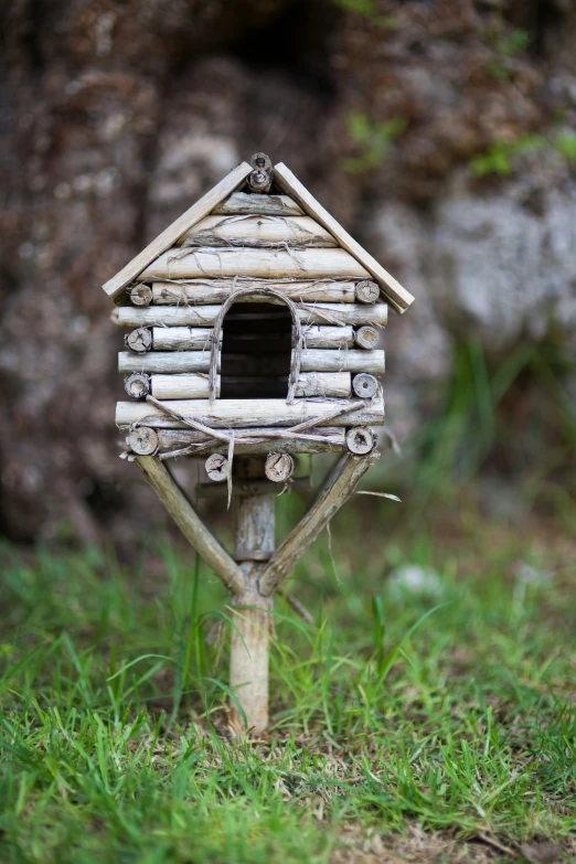 small bird house made from sticks on the ground