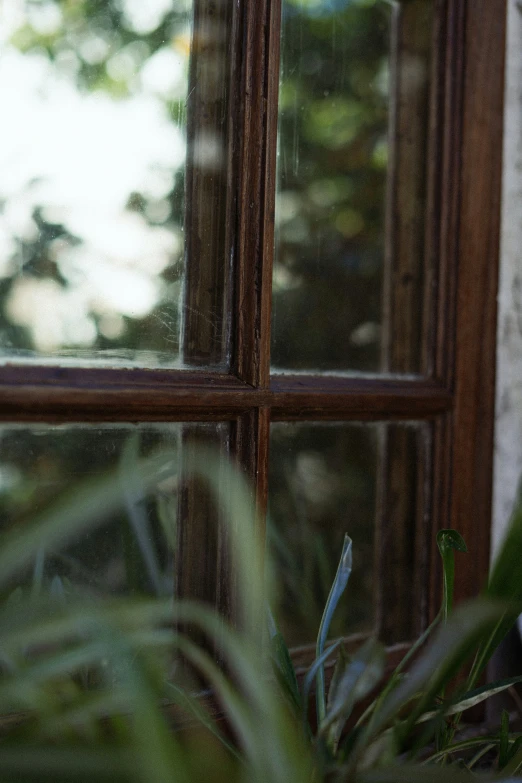 view through a window in the background from inside