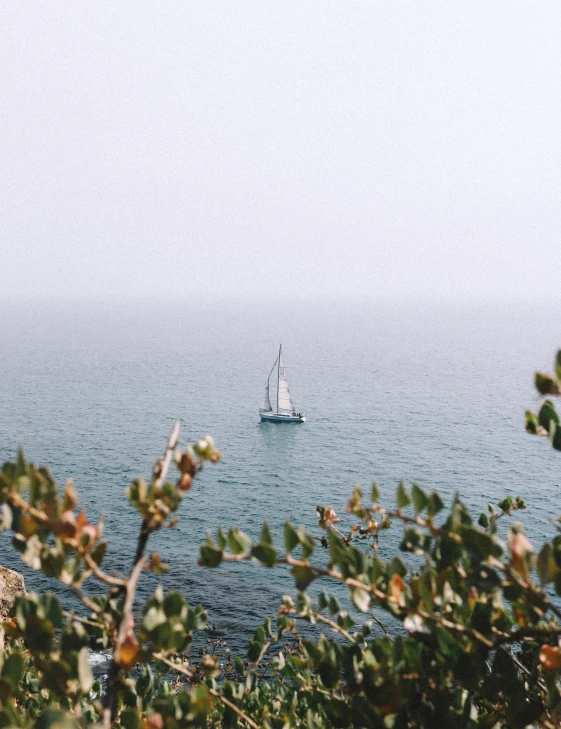 a sail boat in a large body of water