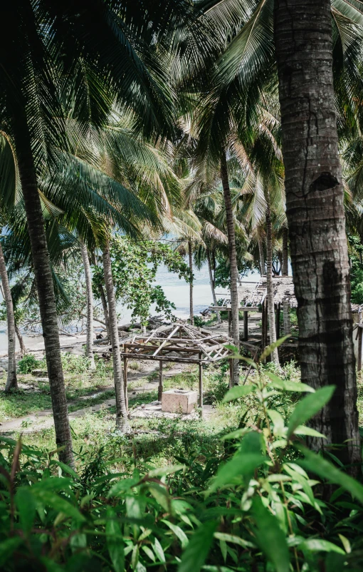 many palm trees are surrounding some huts on the beach