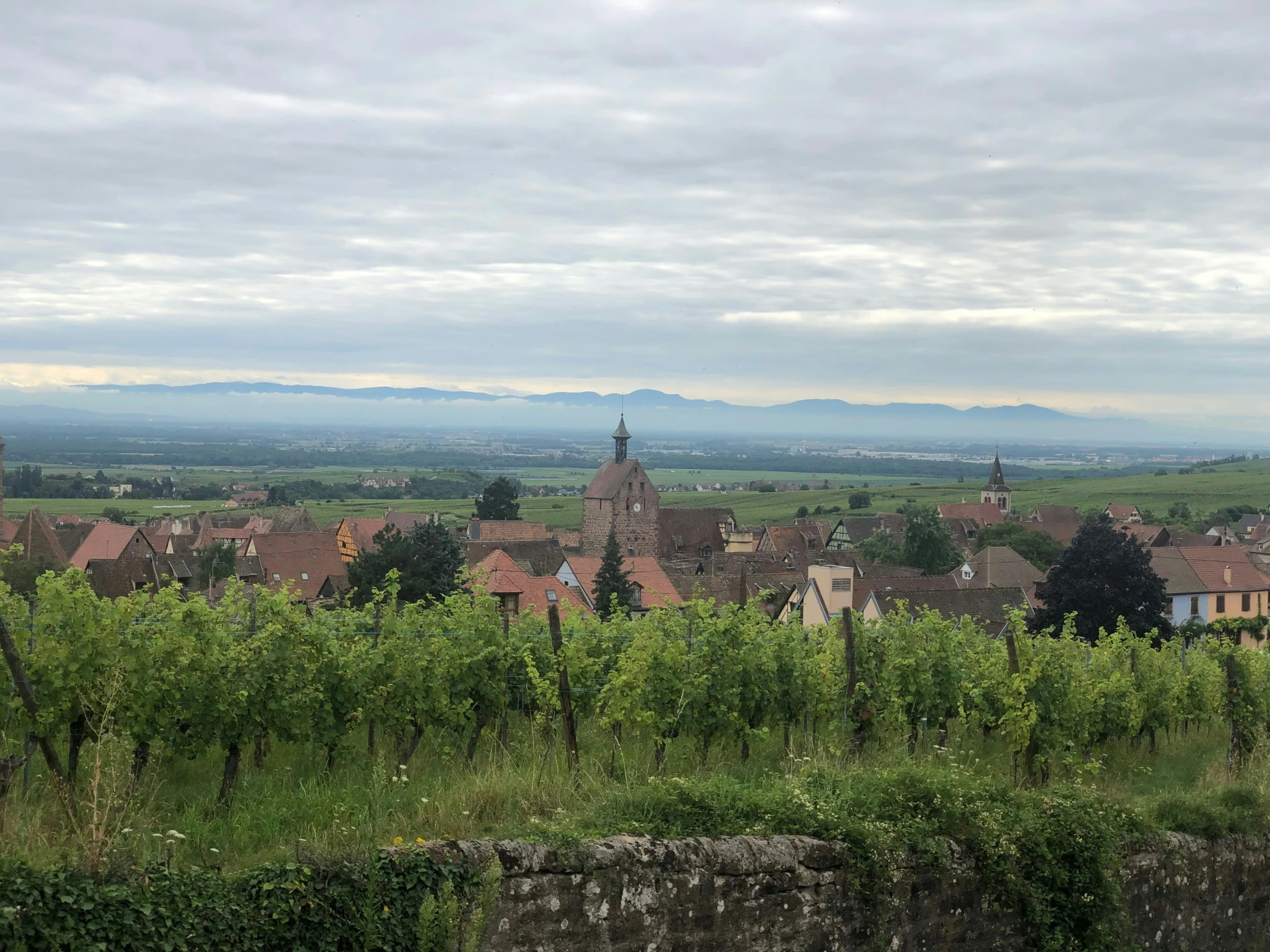 a town in a green area with mountains on the horizon